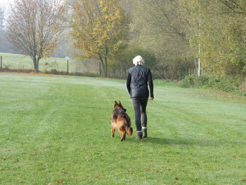 Begleithundeprüfung Herbst 2015