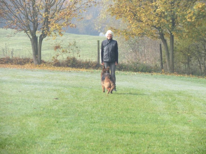 Begleithundeprüfung Herbst 2015