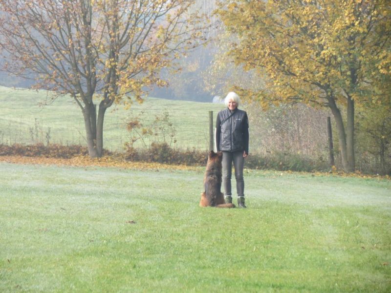 Begleithundeprüfung Herbst 2015