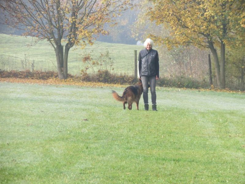 Begleithundeprüfung Herbst 2015
