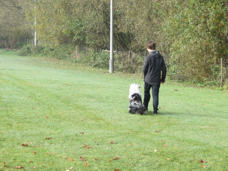 Begleithundeprüfung Herbst 2015
