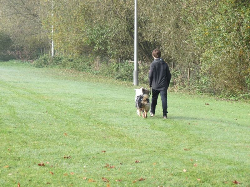 Begleithundeprüfung Herbst 2015