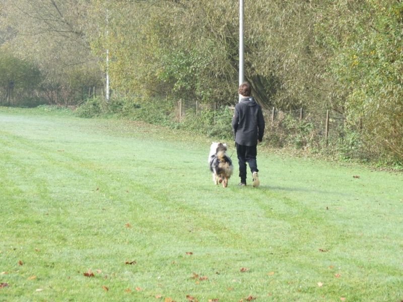 Begleithundeprüfung Herbst 2015
