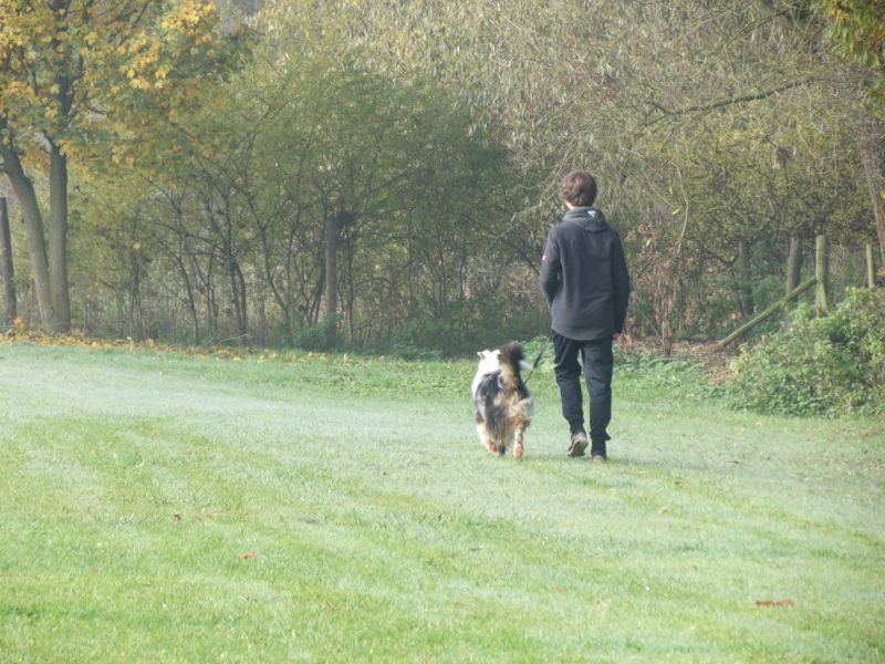Begleithundeprüfung Herbst 2015