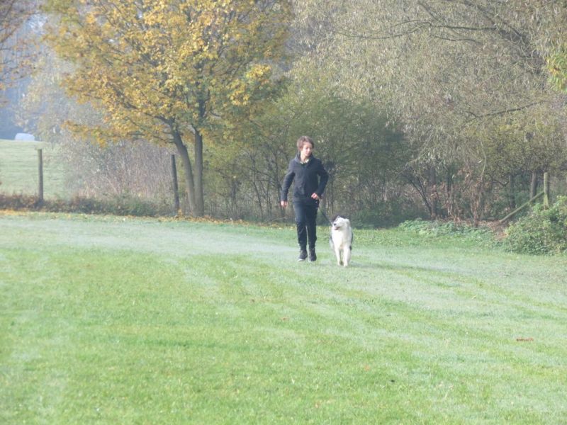 Begleithundeprüfung Herbst 2015