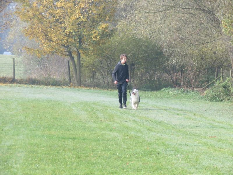 Begleithundeprüfung Herbst 2015