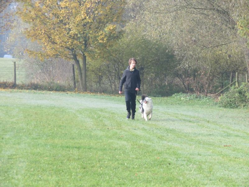 Begleithundeprüfung Herbst 2015