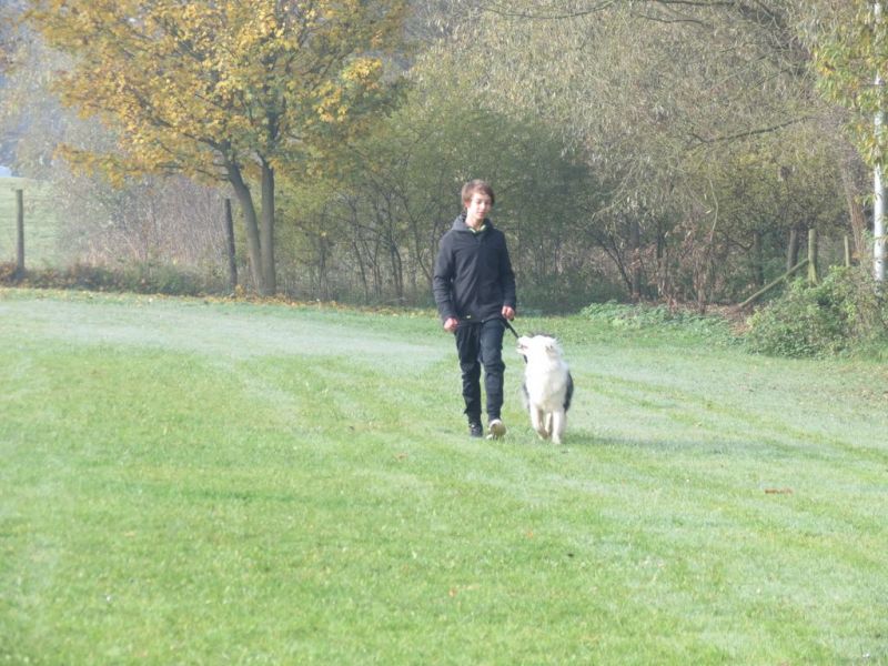 Begleithundeprüfung Herbst 2015