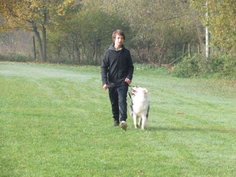 Begleithundeprüfung Herbst 2015