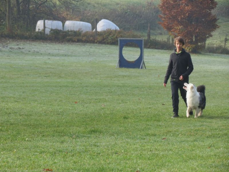 Begleithundeprüfung Herbst 2015