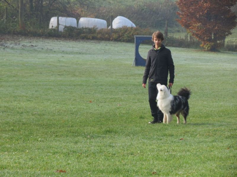 Begleithundeprüfung Herbst 2015