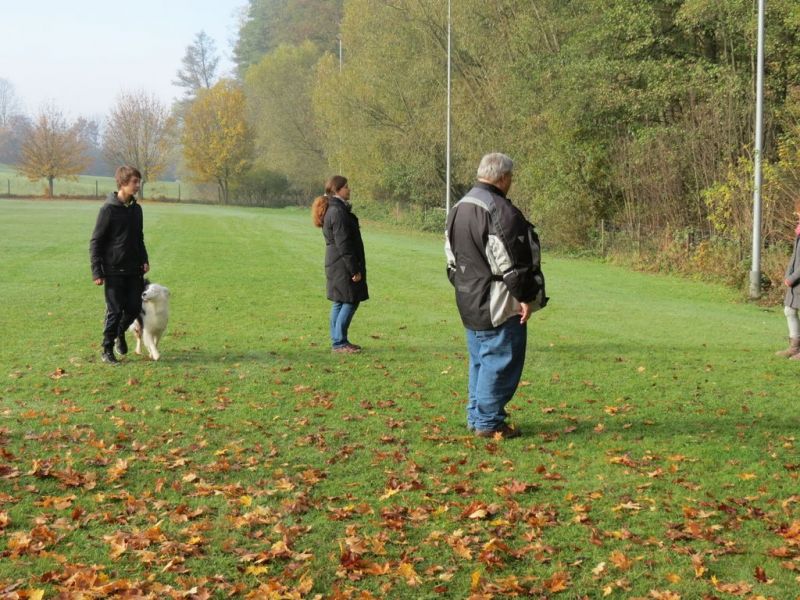 Begleithundeprüfung Herbst 2015