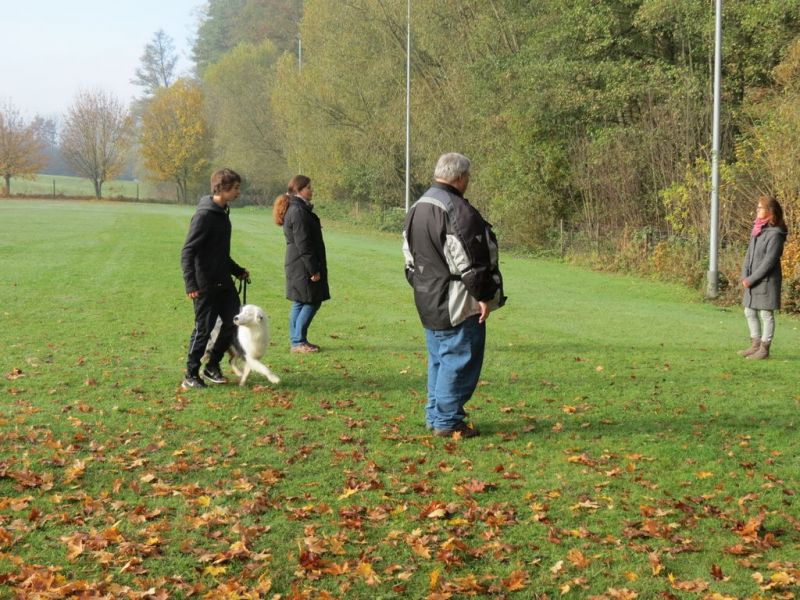 Begleithundeprüfung Herbst 2015