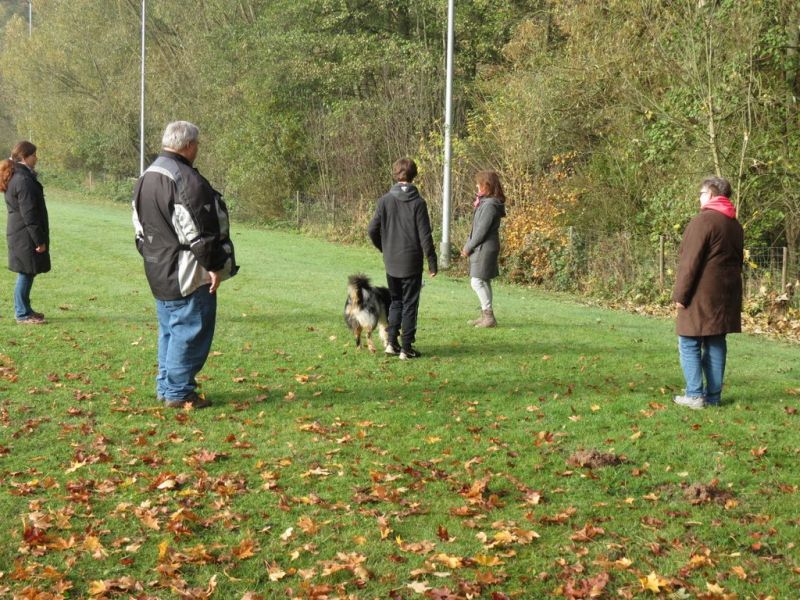 Begleithundeprüfung Herbst 2015