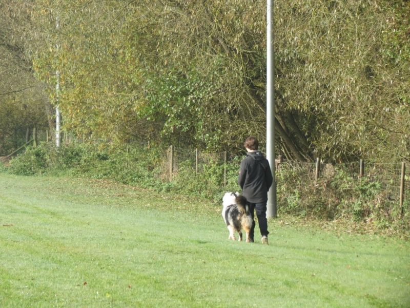 Begleithundeprüfung Herbst 2015