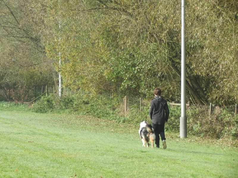Begleithundeprüfung Herbst 2015
