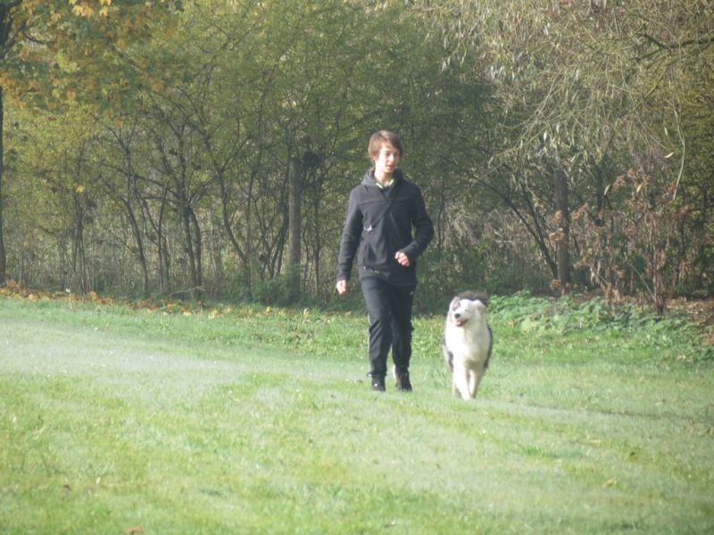 Begleithundeprüfung Herbst 2015