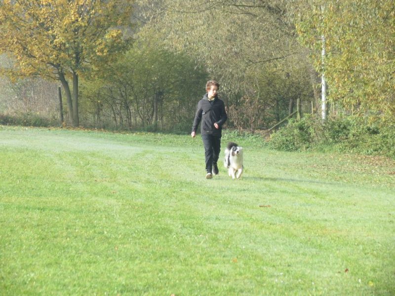 Begleithundeprüfung Herbst 2015