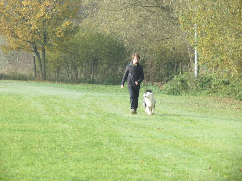 Begleithundeprüfung Herbst 2015
