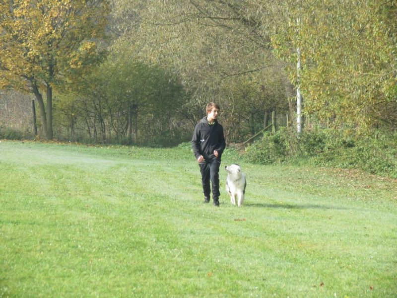 Begleithundeprüfung Herbst 2015