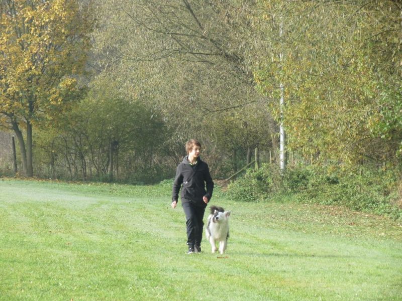 Begleithundeprüfung Herbst 2015