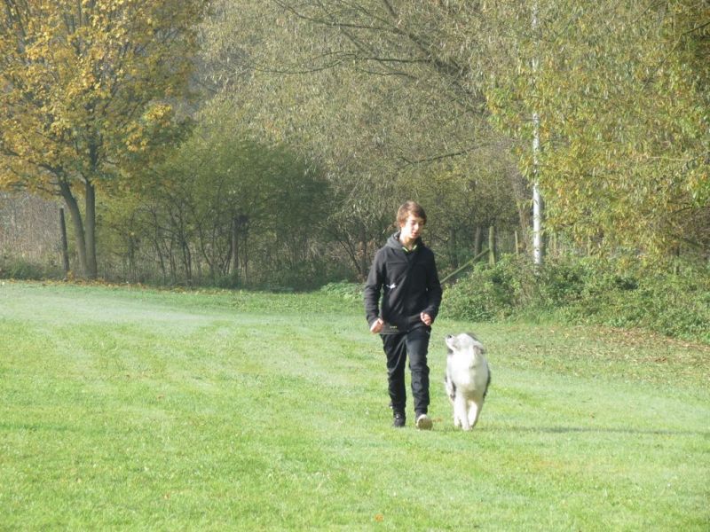 Begleithundeprüfung Herbst 2015