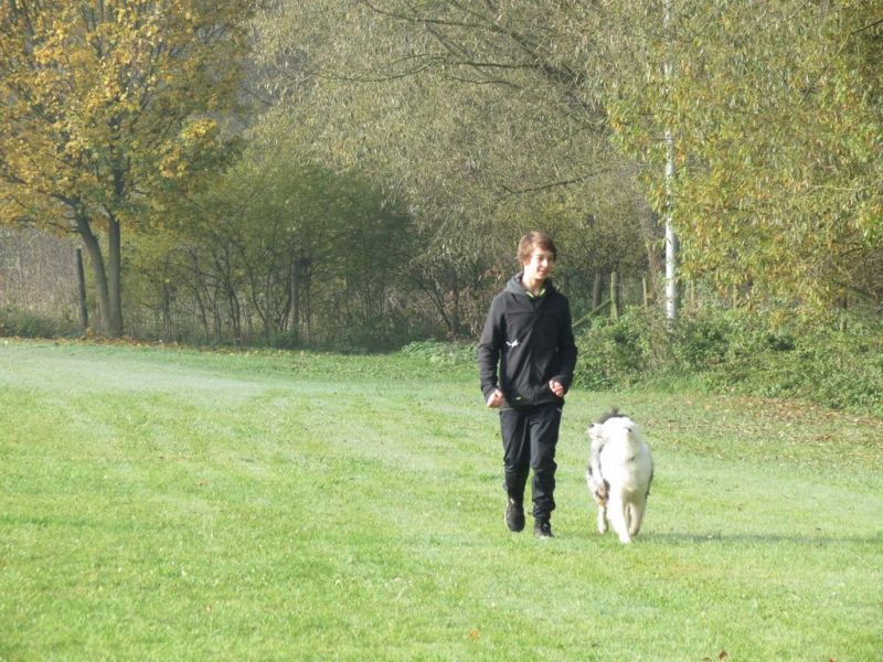 Begleithundeprüfung Herbst 2015