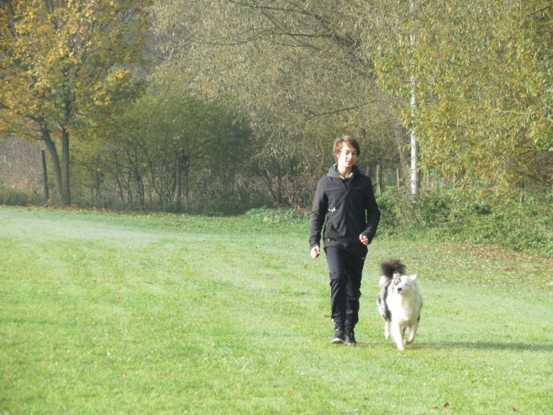 Begleithundeprüfung Herbst 2015