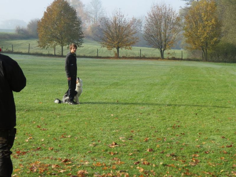 Begleithundeprüfung Herbst 2015