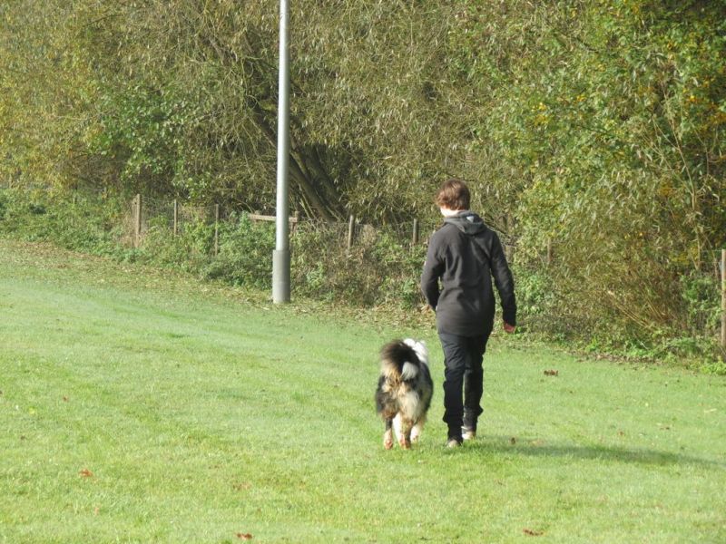 Begleithundeprüfung Herbst 2015
