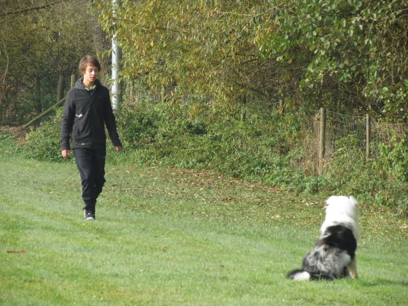 Begleithundeprüfung Herbst 2015