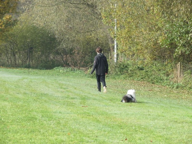 Begleithundeprüfung Herbst 2015