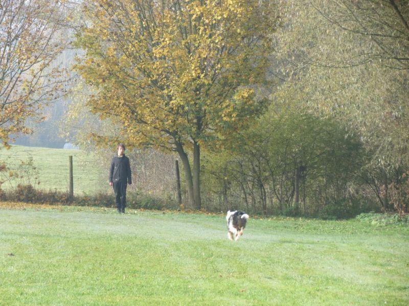 Begleithundeprüfung Herbst 2015
