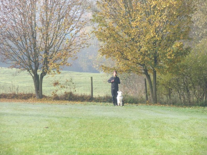 Begleithundeprüfung Herbst 2015