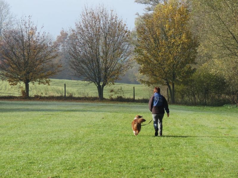 Begleithundeprüfung Herbst 2015