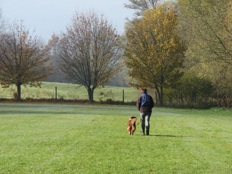 Begleithundeprüfung Herbst 2015