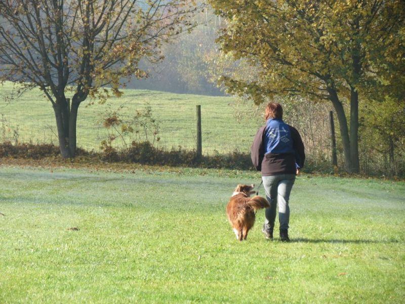 Begleithundeprüfung Herbst 2015