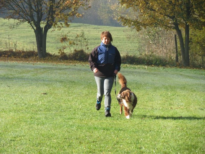 Begleithundeprüfung Herbst 2015