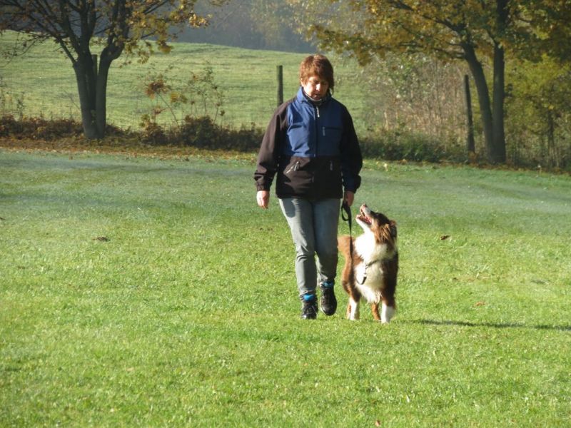 Begleithundeprüfung Herbst 2015