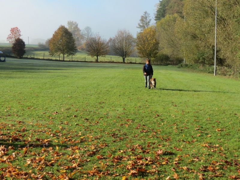Begleithundeprüfung Herbst 2015