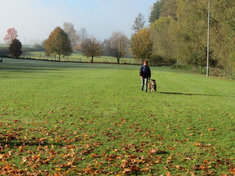 Begleithundeprüfung Herbst 2015