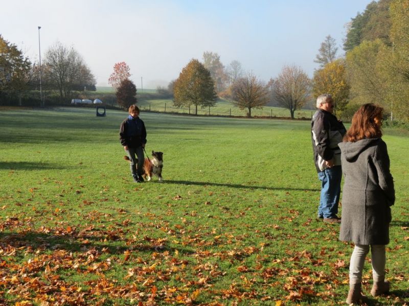 Begleithundeprüfung Herbst 2015