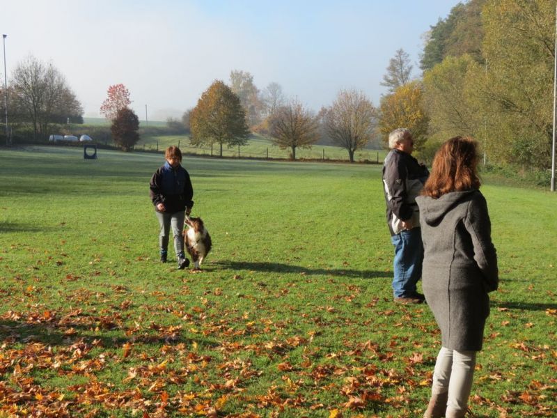 Begleithundeprüfung Herbst 2015