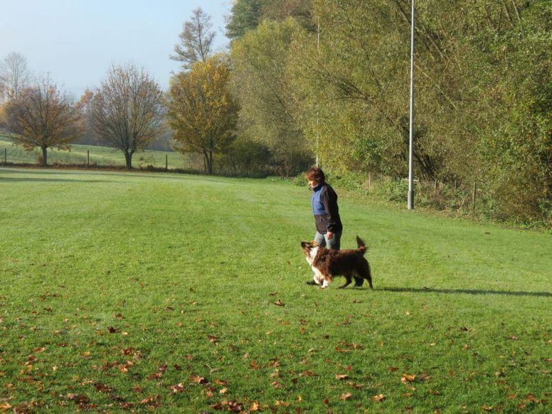 Begleithundeprüfung Herbst 2015