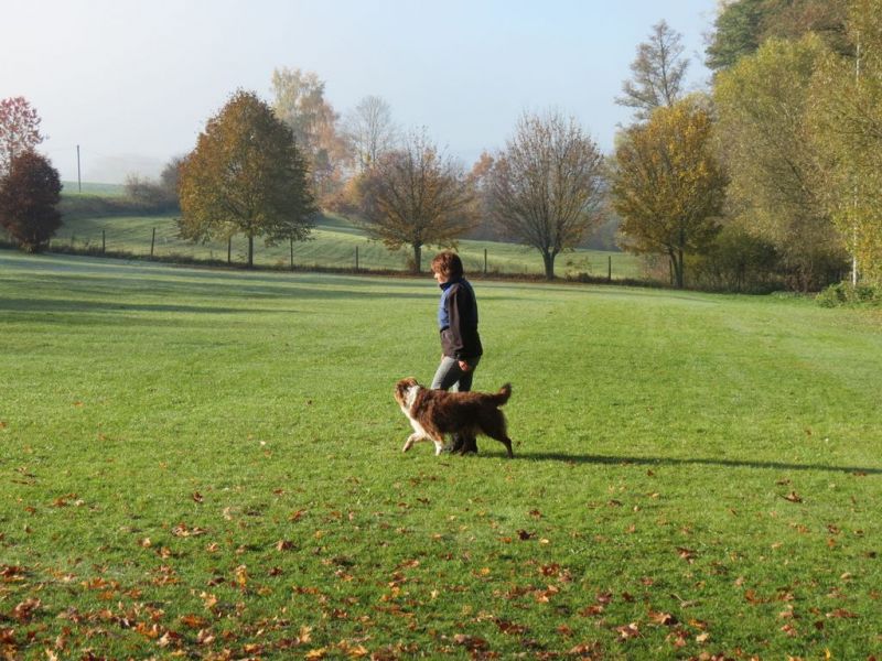 Begleithundeprüfung Herbst 2015