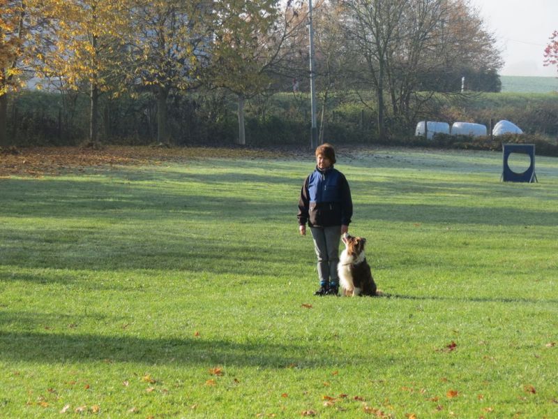 Begleithundeprüfung Herbst 2015