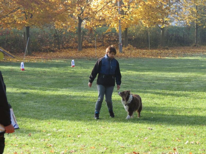 Begleithundeprüfung Herbst 2015