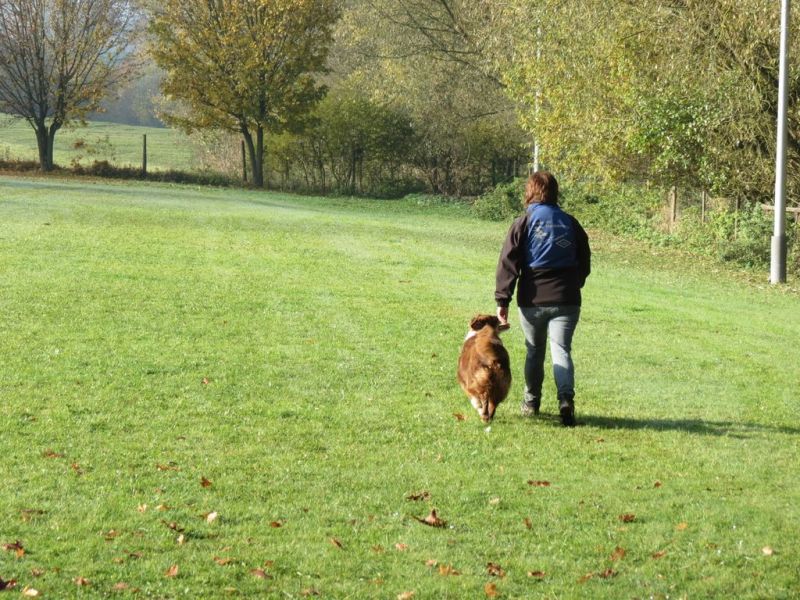 Begleithundeprüfung Herbst 2015