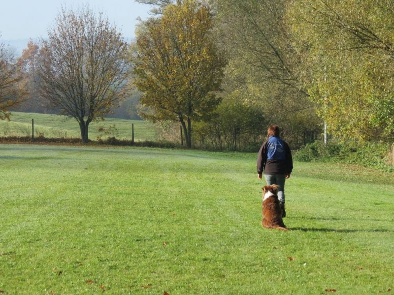 Begleithundeprüfung Herbst 2015