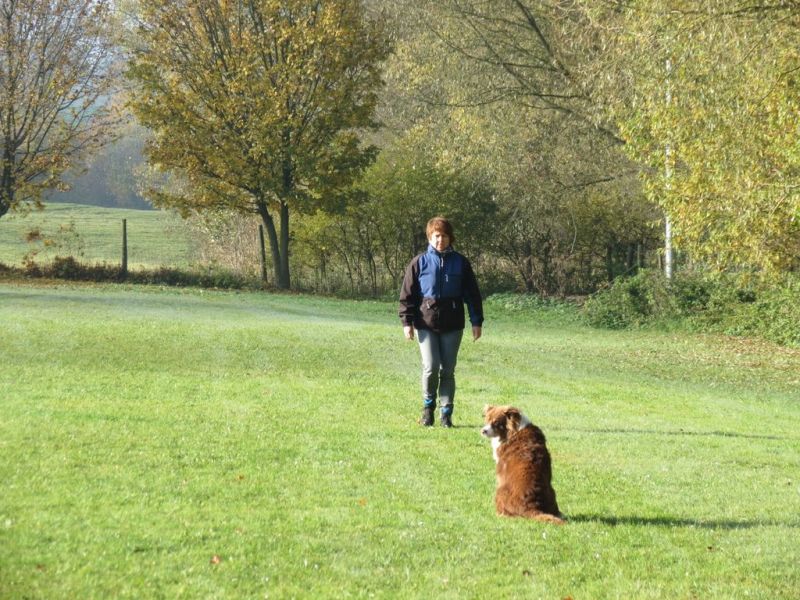 Begleithundeprüfung Herbst 2015